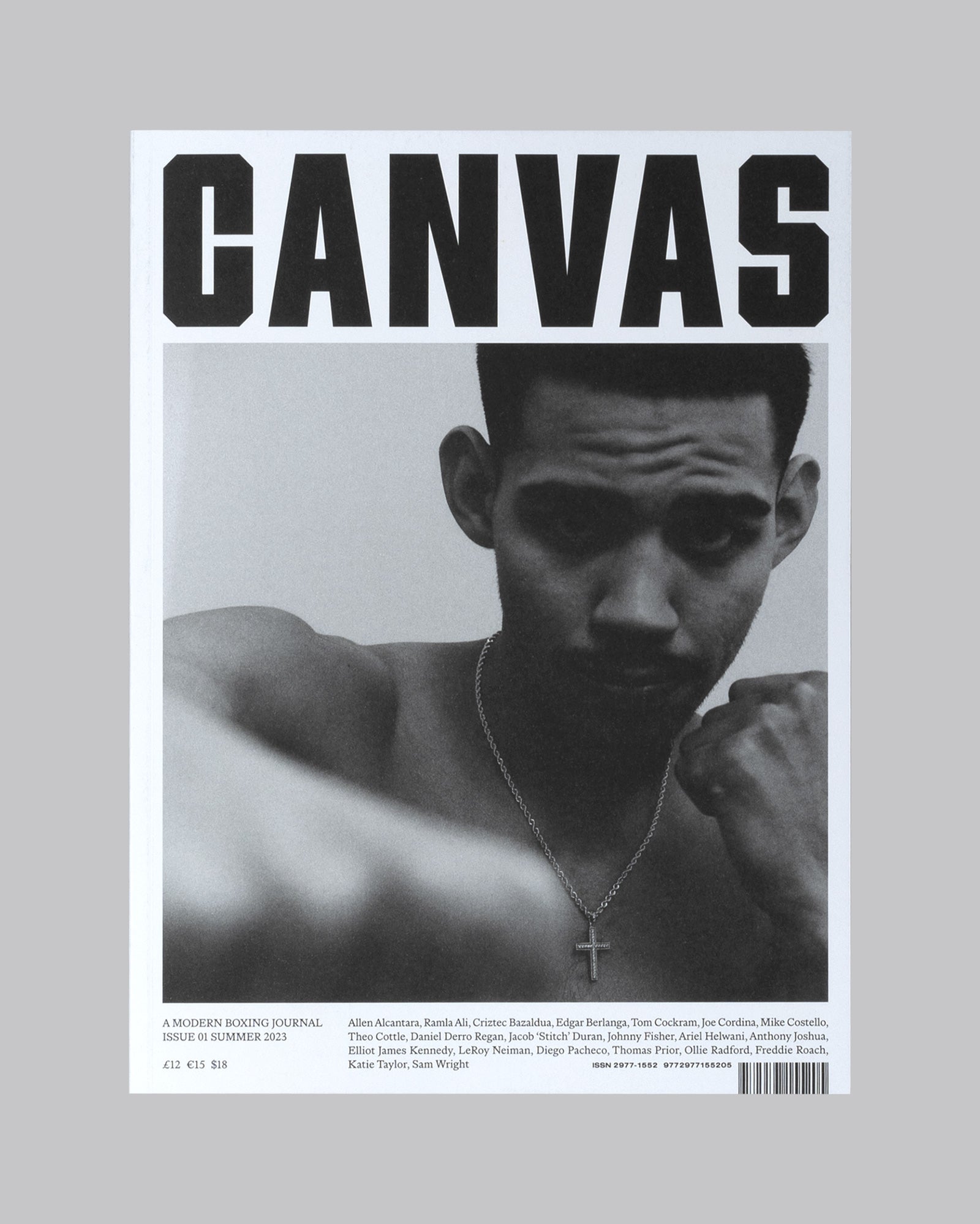 Canvas Diego Pacheco Cover | Diego Pacheco Cover | Fine Margins